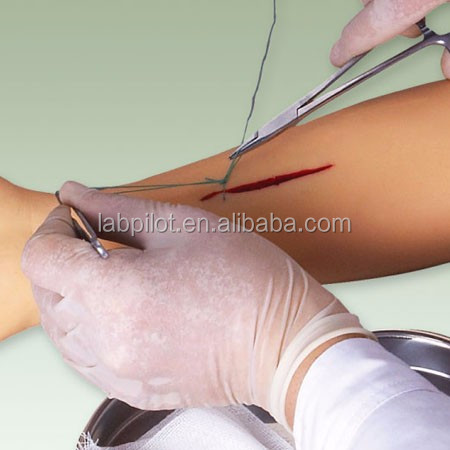 Medical Surgery Training Model Vivid Leg Model for Surgical Instrument Demonstration