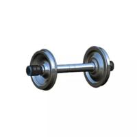 Trilho Wheelset Crane Walking Wheel Forged Steel Wheelset da flange de AAR único