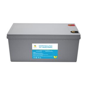 Wholesale lifepo4 battery pack 24v 100ah batteries lifepo4