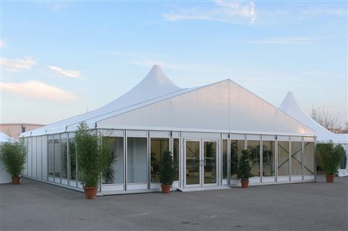 Transparent PVC Cover Waterproof Wedding Event Tents as Outdoor Marquee Tent