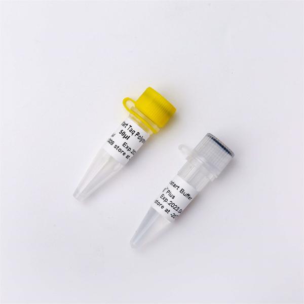 Optimus Hotstart Taq DNA Polymerase PCR Reagent Enzyme P1041
