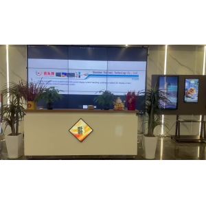 Shenzhen Youleshi Technology Co., Ltd