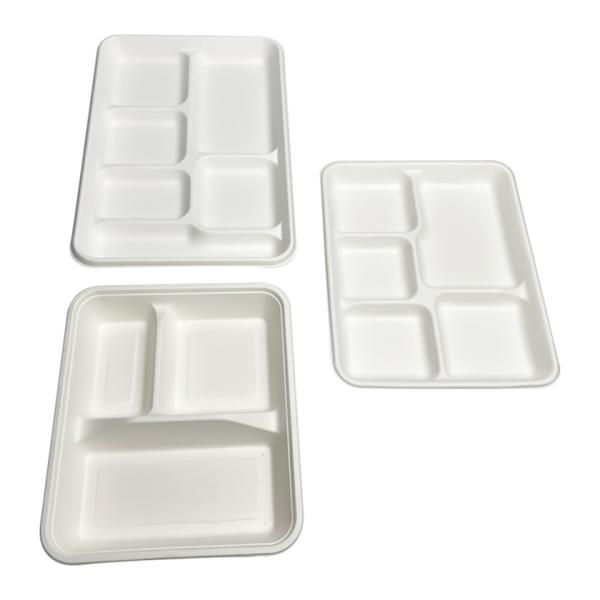 School Disposable Biodegradable Bagasse Tableware 6 5 3 Compartment Lunch Tray