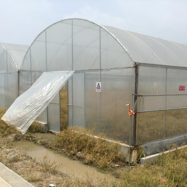 Wind Resistant UV Net House Greenhouse Environmental Controller Multi-span Greenhouses