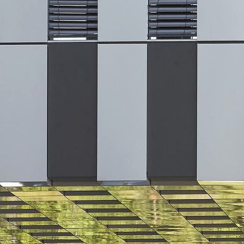 Цвет краски композит внутренний наружный декоративный материал огнеупорный медоносной 12 мм алюминиевой композитной панели