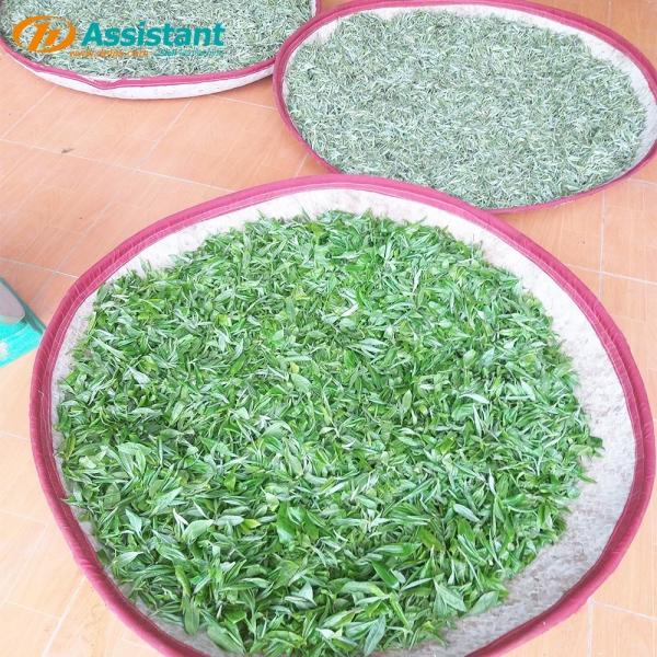 DL-6CRH-120Z Bamboo Tea Bucket for Soft Tea Processing Non-Hole Cloth Tea Leaf Basket