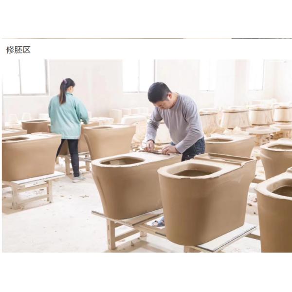 Dual-Flush Pedestal Basin with Environmental Glaze The Ultimate Cleaning Solution