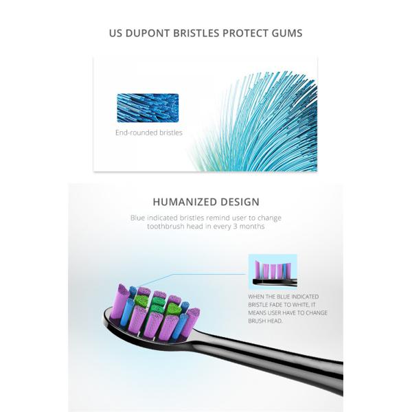 IPX7 Brosse à dents sonique 4 heures de charge Brosse à dents électrique portable durable SN903