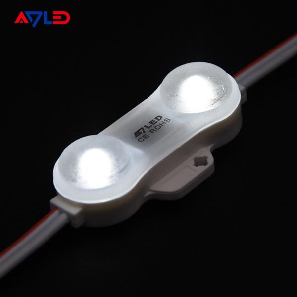 High Power 12v 2 LEDs LED Module Lights Outdoor SMD 2835