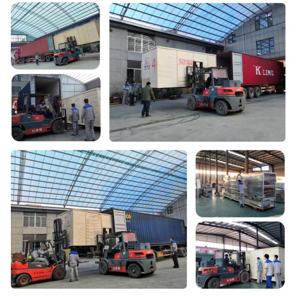 110 В 220 В 380 В 415 В 440 В 35 КВ Рыбная рыбка Тилапия Кормовая пеллетная машина для дома