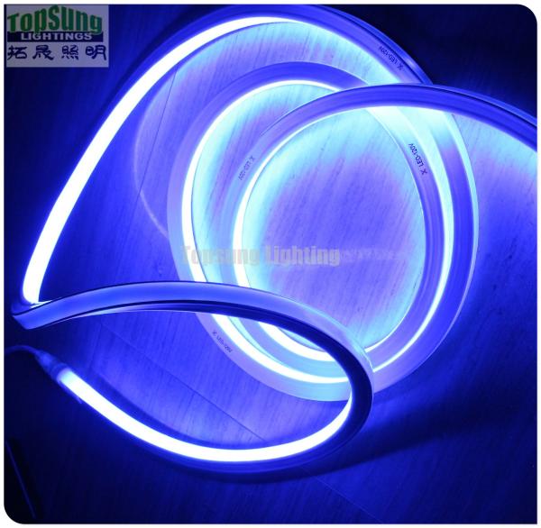 super bright square 240v 16*16m neon flexible led light color RGB