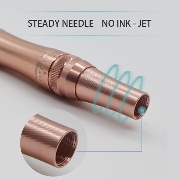 Губа брови ручки татуировки макияжа экрана СИД постоянная краснеет MTS Microblading