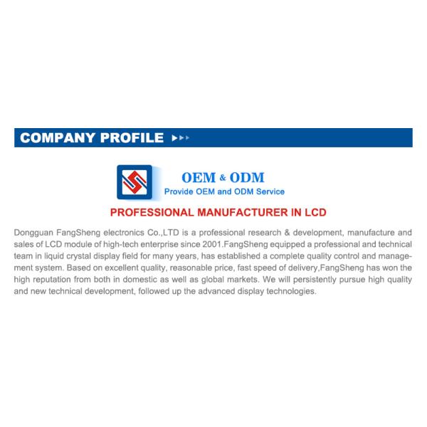 Подгонянный обломок на стекле 7 делит на сегменты положительную матрицу графика дисплея LCD