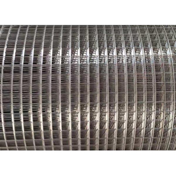 600 ячеистая сеть сетки 1/2» сваренная стальная для предотвращает ограждать змейки