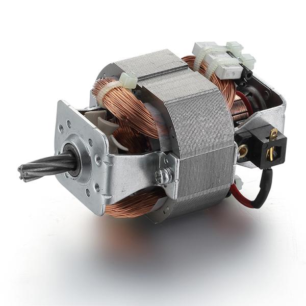 Speed 54mm Motor Diameter Totally Enclosed Universal AC Motor for Treadmill 110v 220v