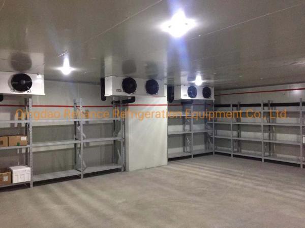 COLDROOM19 Industrial congelador a frio armazenamento com painel solar energia em pó e bateria