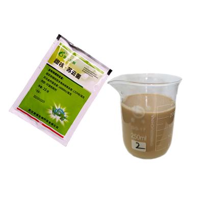 Fluido natural de controlo de pragas IPM para culturas de milho Combate a pragas de insectos 20 g por 15 litros de água
