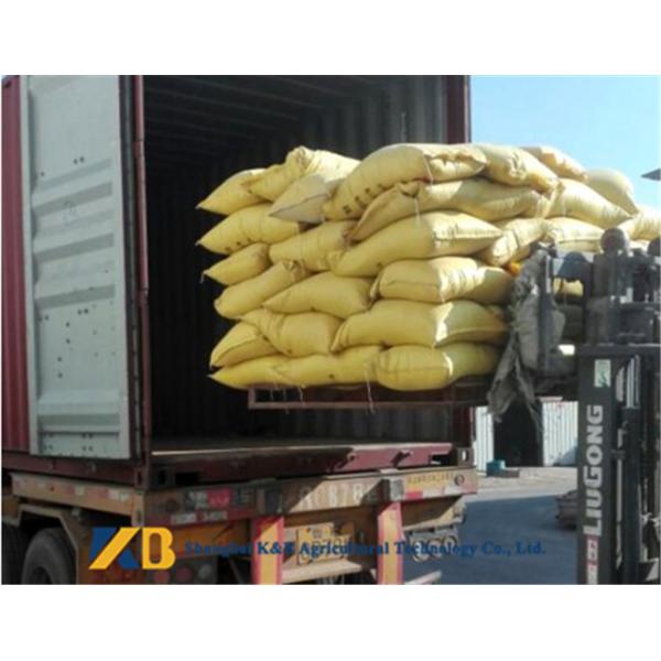 Food Grade Corn Protein Powder Contains Lutein Improve Poultry Disease - Resistant