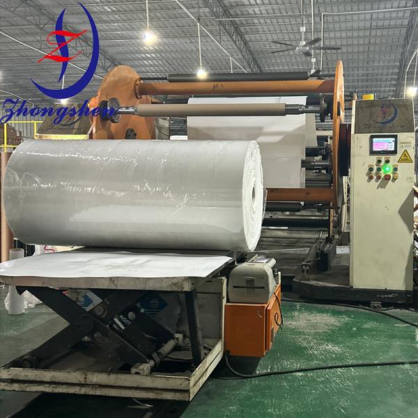 Customization Poultry PP/PE Manure Removal Belts from Zhongshen