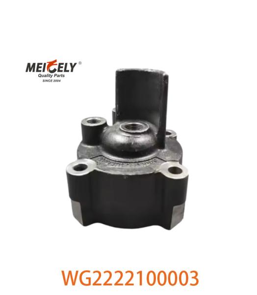 High Performance WG2222100003 Cylinder WG2222100009 For HOWO Truck
