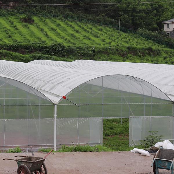 High Tunnel Multi Span Greenhouse Plastic PE Film For Strawberry