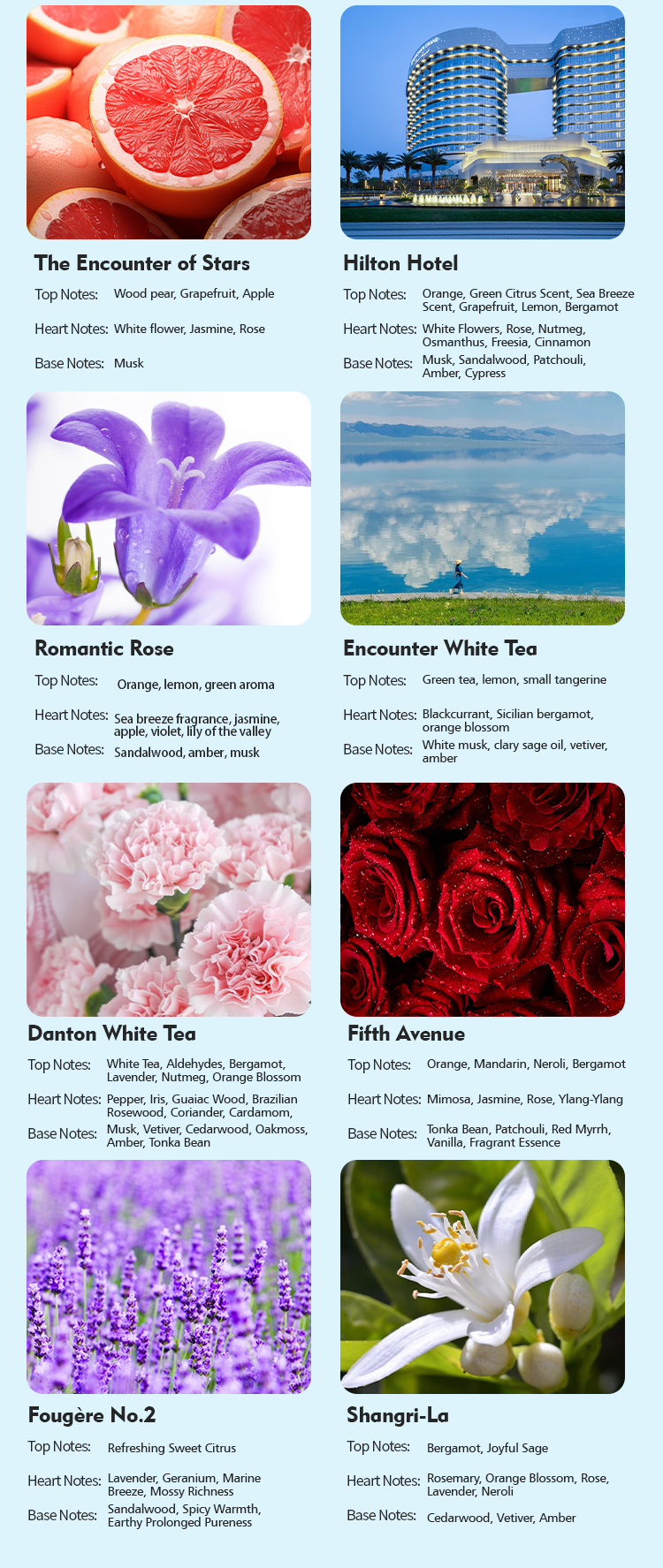 168ML Water Base Essential Oils For Aroma Diffusers In Hotels And Homes