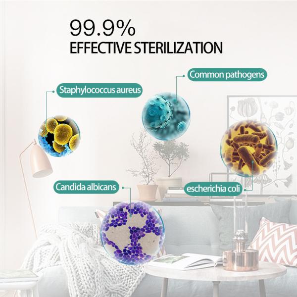 BRC 500ml Size 75% Alcohol Disinfectant Wash