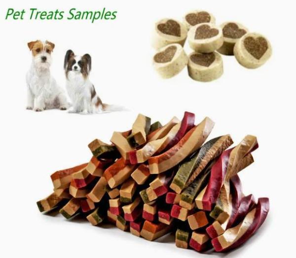 La machine faite sur commande de festin d'animal familier a expulsé chien mâchant le traitement des denrées alimentaires des produits alimentaires