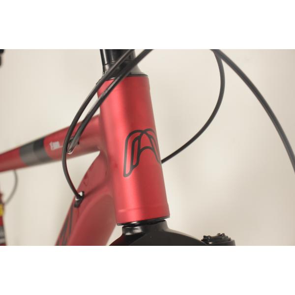 21/24/27 Speed Dual Disc Carbon Mountain Bike For Adults Shimano Tourney Front Derailleur