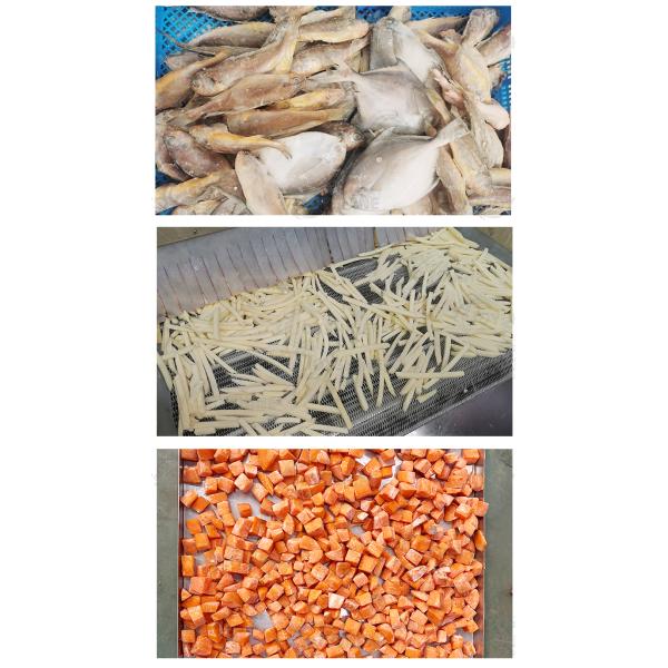 Customizable IQF Tunnel Freezer For Frozen Fries Production  1000kg/H