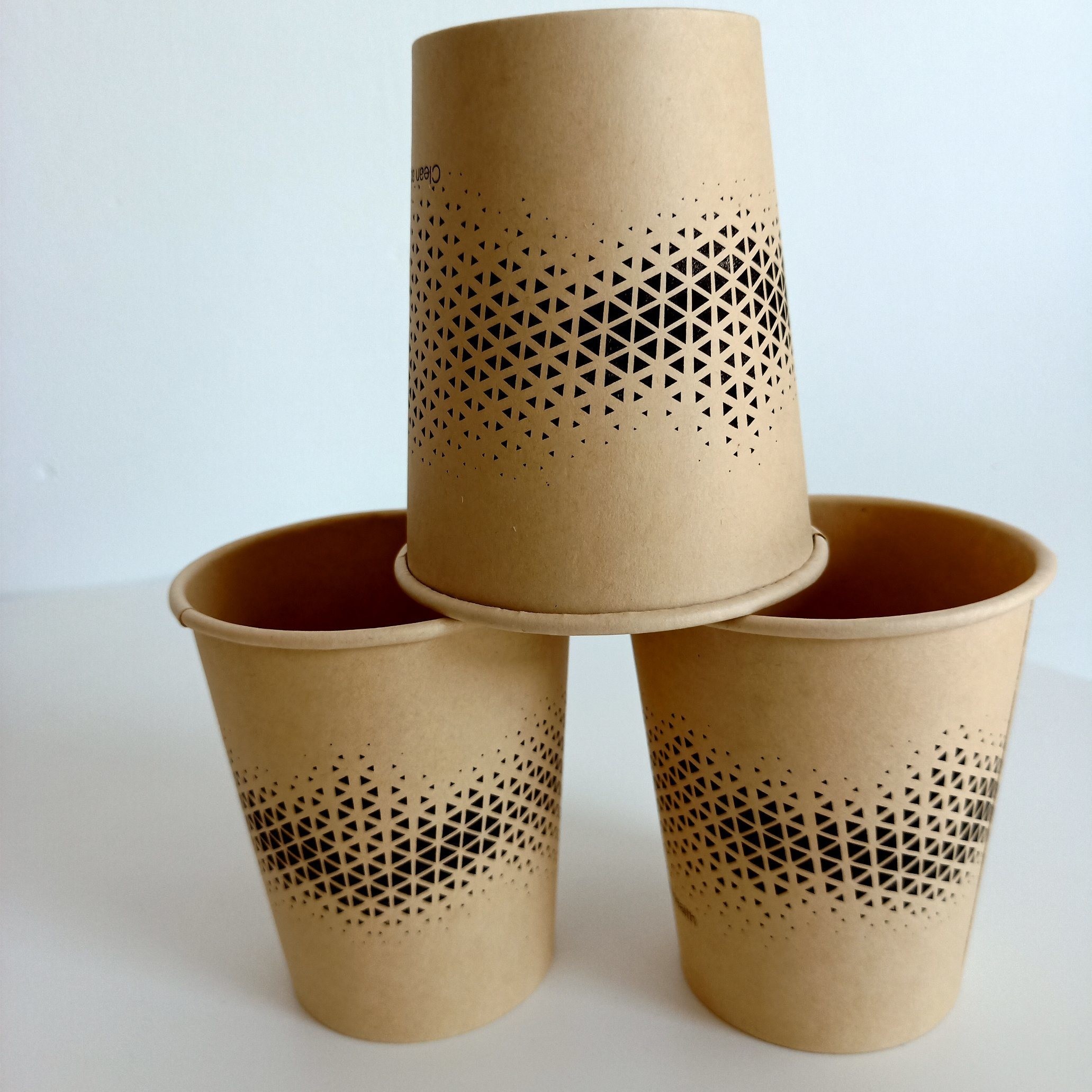 OEM Custom Printed Logo Biodegradable Disposable Hot or Cold Drinking Foamed Paper Cup