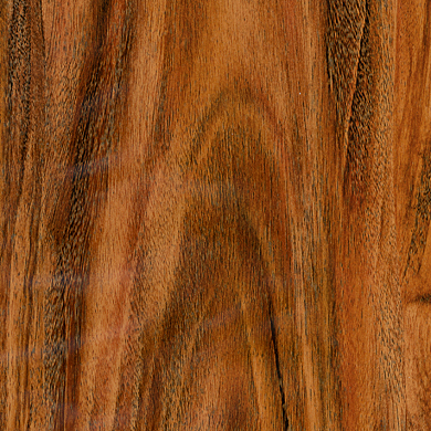 Sanders Grain Heat Transfer Film For Plastic Strong Adhesion 1300mmx400m