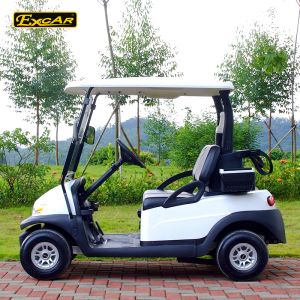 Excar 48V Electric Golf Car Pearlized Trojan Battery Aluminum Chassis