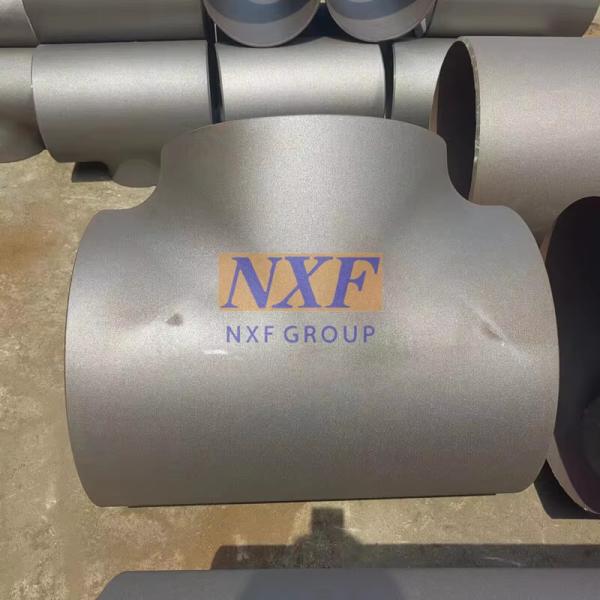 NXF ASTM A240 316H/1Cr17Ni12Mo2/31609 DN15-1200  SCH10-XXS Stainless Steel 316H  Butt Welding Straight Reducer Tee