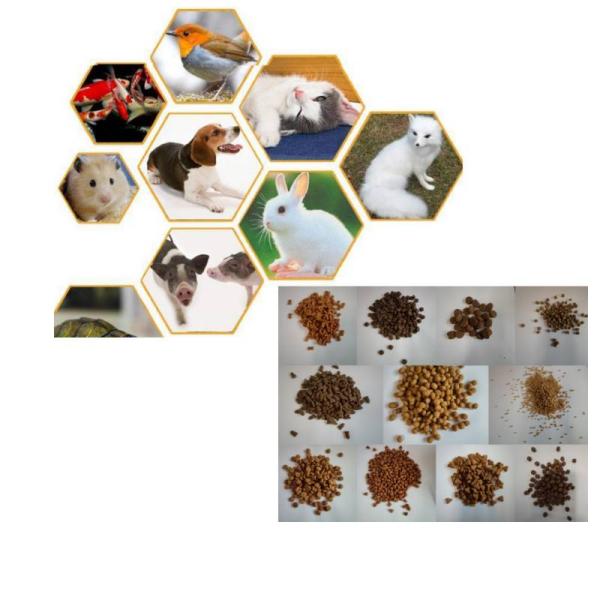 лепешка питания любимца рыб 50-5000kg/H сопя делая завод для рекламы