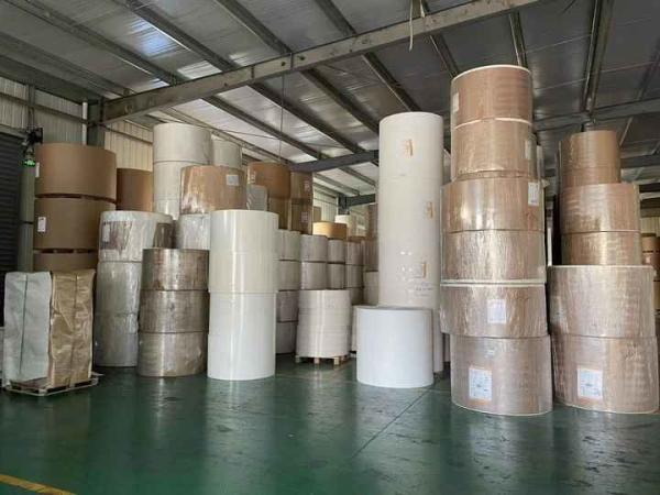 Factory Greaseproof Waterproof Single Double Wall PE Coated Kraft Paper Roll Food Grade Raw Material For Paper Cup