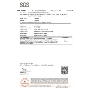 Dongguan Ruichen Sealing Co., Ltd. Сертификации