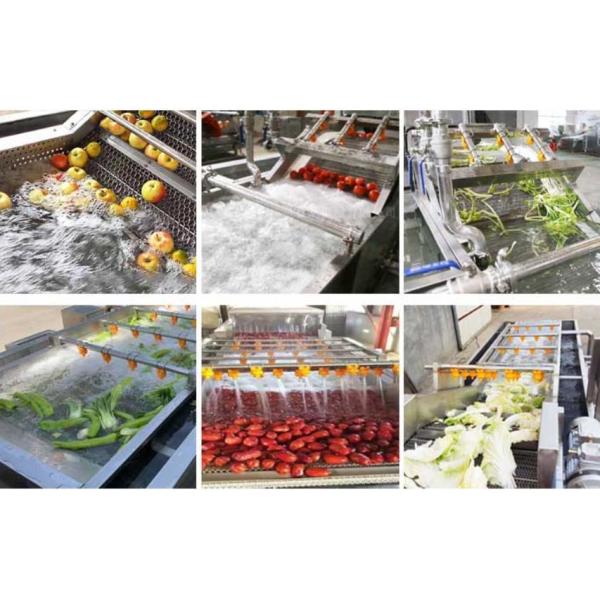 Spinach Parsley Lettuce Ginger Tomato Carrot Bubble Washing Machine with Online Support