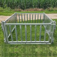 Hot Diped Galvanized Steel Pipe Cattle Yard Panels For Livestock