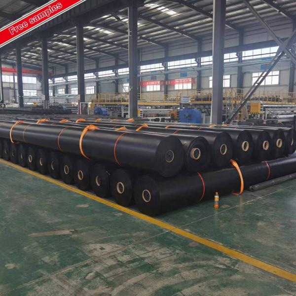 Smooth Surface HDPE/LDPE Geomembrane for Fish Pond Liner Design Style Contemporary