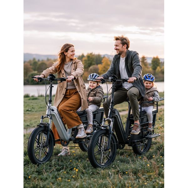 UK New Arrival 20inch Fat Tire Ebike High Power Motor 7 Speed Fat Electric Cargo Bicycle with Rear Rack
