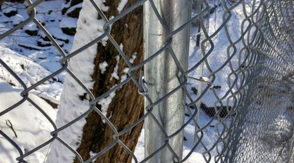 chain link wire mesh fence 50mm x 50mm hot dipped galvanized chain wire tension band and clamp
