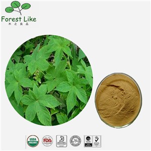 Dietary Supplement Nature Plant Brown Herbal Devils Claw Leaf Extract