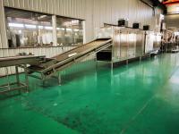 Arachide de l'acier inoxydable 304 faisant frire la chaîne de production enorme d'arachide de machine