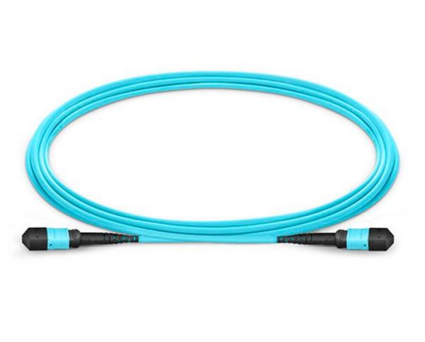 Customized Length MTP MPO Fiber Cable Good Exchange Ability For FTTH