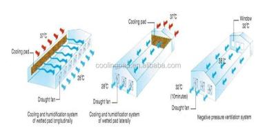 UV Resistant Cooling Pad Wall Lower The Farm Temperature For Poultry Houses