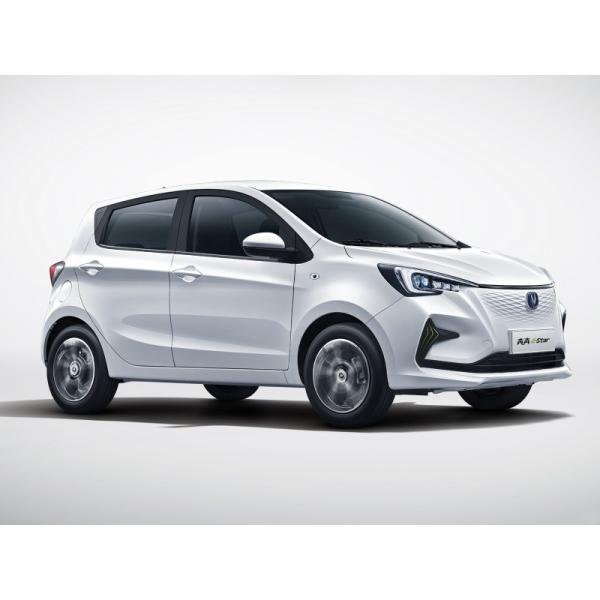 Pure Electric Mini EV Cars Max Speed 101 Km/H Long Range 310KM