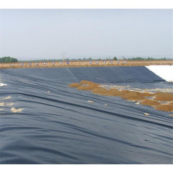 Waterproof 1mm HDPE Geomembrane Pond Liner for Water Tank and Swimming Pool at Affordable