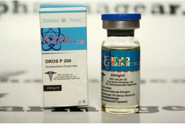 Caixas e adesivos de garrafa de vidro para musculação de 10 ml