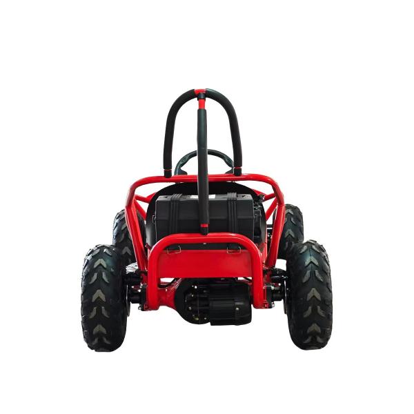 1000w Electric Go Kart Mini Dune Buggy for Kids 2WD Driving Type 1440*820*860mm